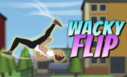 Wacky Flip Wacky Flip img